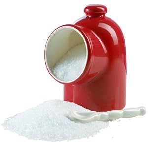 HIC Salt Cellar with Spoon, Porcelain, 4 X 3"