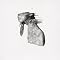 Coldplay Picture 15