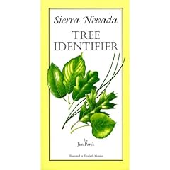 Sierra Nevada Tree Identifier
