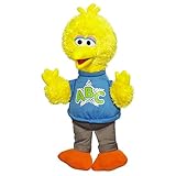 UPC 653569598602 product image for Sesame Street Rockin Abc Big Bird | upcitemdb.com