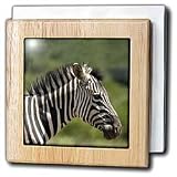 Wild animals - Zebra - Tile Napkin Holders