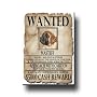 Mastiff Wanted Fridge Magnet
