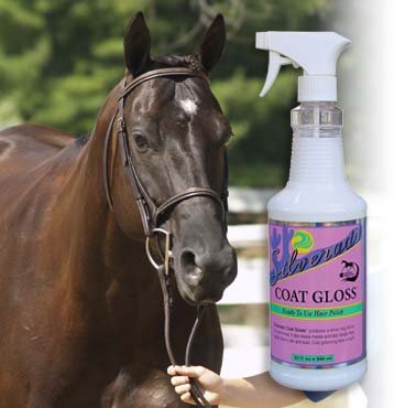 Silverado Coat Gloss Hair Polish [Misc.]