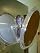 Magnifying Mirror with Folding Handle and Suction Mount