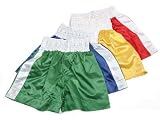 Silk Boxing Shorts
