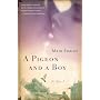 A Pigeon and a Boy