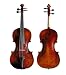 Hallelu String Hvl-301 4/4 Violin W/case
