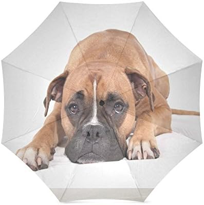 Lovers/Wife/Husband Gifts Funny Cute Labrador Retriever Puppy Dog Pattern 100% Fabric And Aluminium Foldable High-quality Umbrella