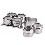 Stainless Steel Magnetic Spice Jar Set of 6 with Rack
