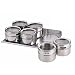 Stainless Steel Magnetic Spice Jar Set of 6 with Rack