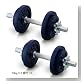 トータルフィットネス ダンベル10kg 2個セット STW-031