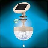 Crown Solar LED Shed Light