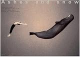 Gregory swimming with whale: New York exhibition (giant poster) (Ashes and Snow Posters)
