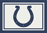 Indianapolis Colts Team Spirit Area Rug