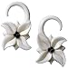 Jewelry : Pair of Bone with Black Water Buffalo Horn Hooks - BY29B: 12g