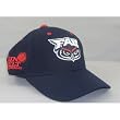 NCAA Triple Conference Adjustable Hat NCAA Team: Florida Atlantic Owls
