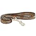 Pittsburgh Pirates Gray 6' Dog Leash