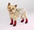 RED - XX-LARGE - High-Top Neoprene Winter Dog Boots