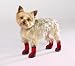 Pet Supplies : RED - X-SMALL - High-Top Neoprene Winter Dog Boots