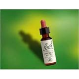 Bach Essence Wild Oat 20 Milliliters