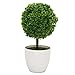 IVYRISE Artificial Plants Faux Potted Trees Decor Bonsai Flowers Topiary Plant w/ White Planter Pots