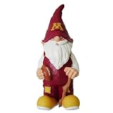 Minnesota 2008 Team Gnome