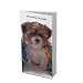 shih_tzu29shih tzu - Shih Tzu 2010 Weekly Pocket Planner