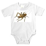 Onesie with male, cricket, syrsa, invertebrate, insect, animal, song, jumping, arthropod, house cricket, chirp