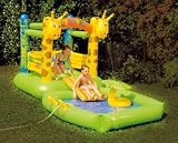 friedola Wehncke Hüpfburg und Spielpool Giraffe
