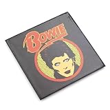 Ziggy Stardust Pop Art Magnet