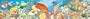The Coral Reef Floor Puzzle