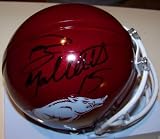 RYAN MALLETT SIGNED AUTOGRAPHED ARKANSAS RAZORBACKS MINI HELMET W/ HOLOGRAM + COA