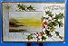 Postcard Season's Greetings Artist Signed A Hall Emboss