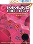 Immunobiology 6 Edition Churchill Livingston Intl Students Ed