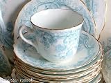 Review staffordshire  / c1895 Staffordshire Blue and White Strawberry Pattern Cup and Saucer