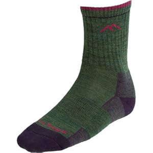 Darn Tough Vermont Darn Tough Vermont Micro Crew Sock Cushion