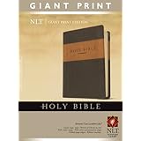 holy bible giant print nlt tutone