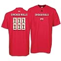 Bulls adidas Men's Banner Tee