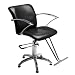Weston Styling Chair