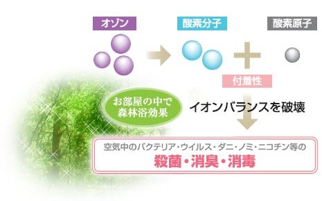 La Muller アロマオイル500ｍｌ 緑茶