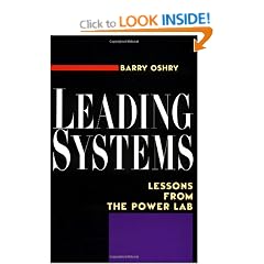 Leading Systems: Lessons from the Power Lab