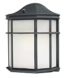 ENERGY STAR Black Outdoor Wall Light