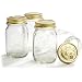 Bormioli Rocco Quattro Stagioni 4 Piece Canning Jar Set, Gift Boxed