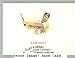 2008 Topps Allen and Ginter #42 Luke Scott - Baltimore Orioles (Baseball Cards)