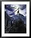 Puja Ceremony at Everest Base Camp Religion & Philosophy Framed Art Poster Print by Michael Brown, 25x31