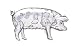 Solid Sterling Silver Pig Brooch Pin