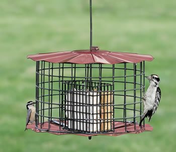 Double Oversize Suet Cake Feeder-copper Tint