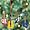 Set of 4 Resin GUITAR CHRISTMAS TREE GIFT ORNAMENTS BASS/Electric/ACOUSTIC/Fender thumb
