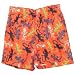 Infant Boys Gecko Printed Swim Trunks