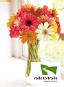 Rails to Trails Gerbera Daisies